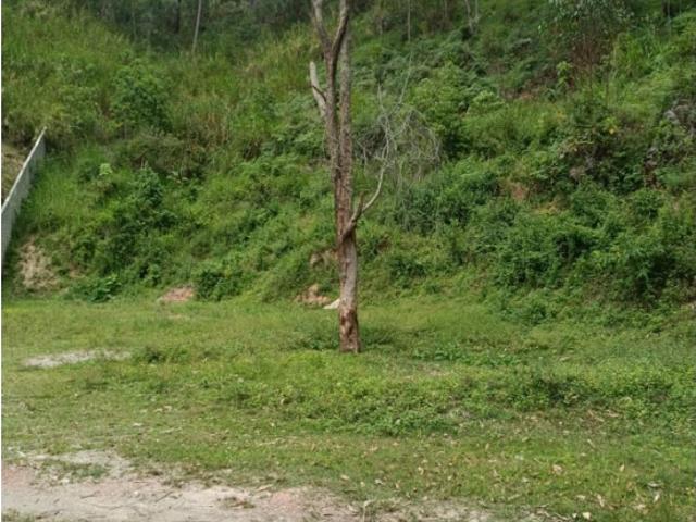 Terreno en venta en Carrizal, Miranda