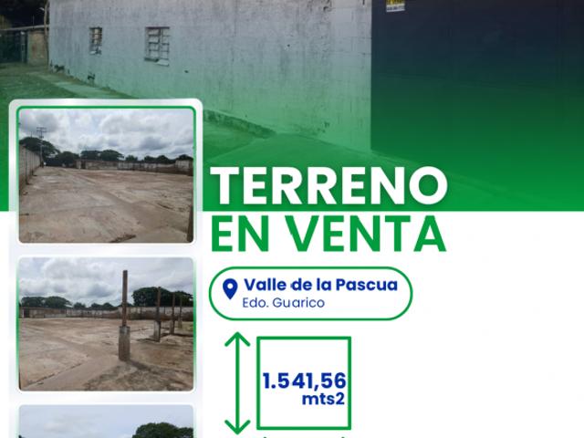 Terreno en venta en Infante, Guárico