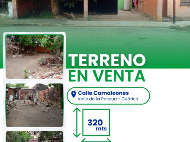 Terreno en venta en Infante, Guárico