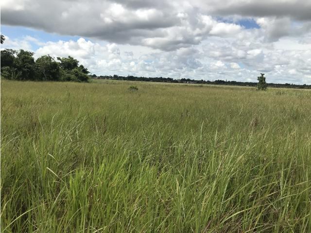 Terreno en venta en Tipuro, Monagas