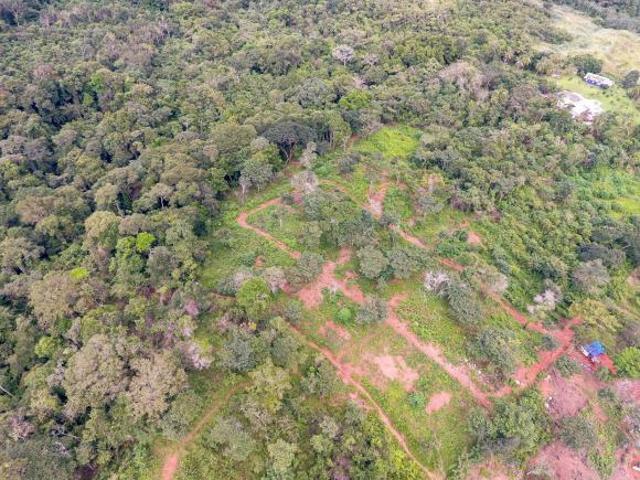 Se vende terreno en Villalobos, Pedregal