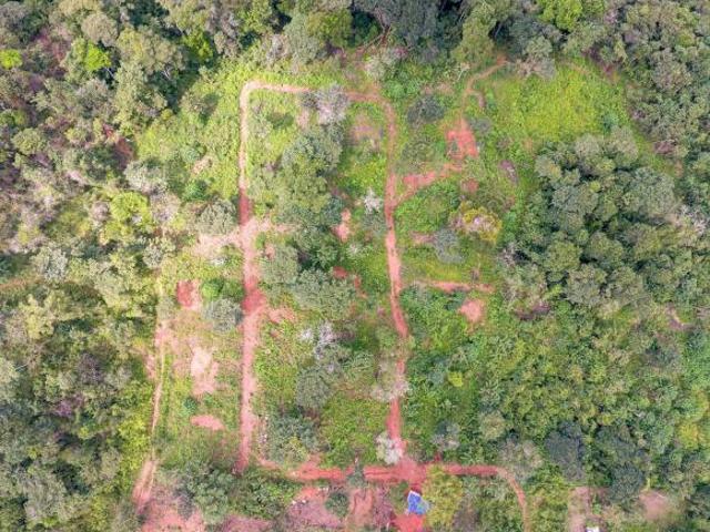 Se vende terreno en Villalobos, Pedregal