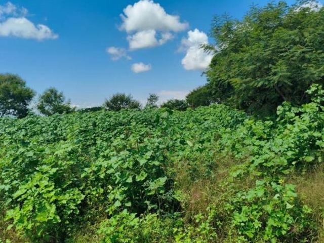 Terreno en venta en Morelos