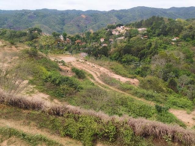 Terreno en venta en Municipio Arismendi, Barinas