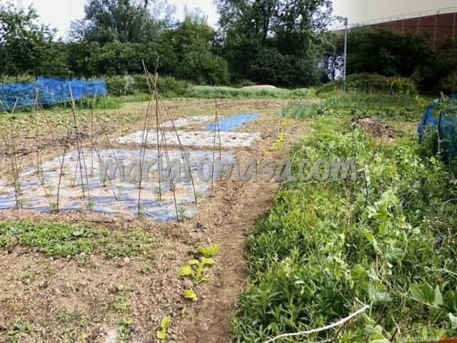 Terreno en venta en Zaballa, Valle De Trápaga-trapagaran