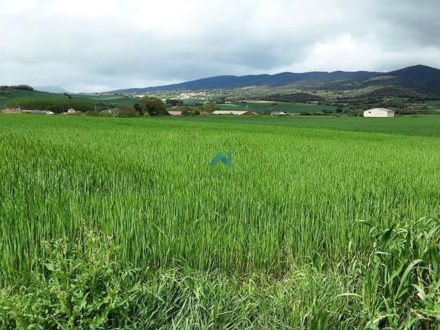 Terreno en venta en La Puebla De Arganzón, Castilla y León