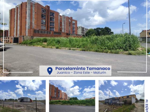 Terreno en venta en Tacarigua De Brion., Miranda