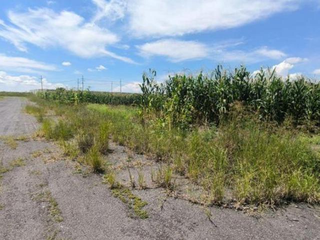 Terreno en venta en Zapotlanejo, Región Centro