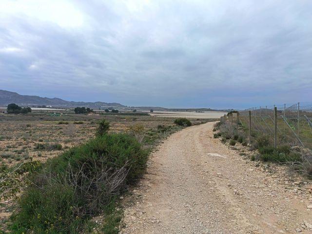 Local Comercial en venta en el Vinalopó Mitjà / El Vinalopó Medio, Valencia