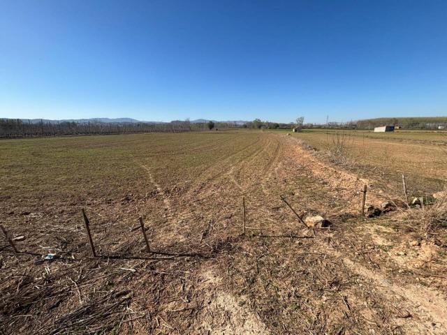 Terreno en venta en Valdejalón, Aragón