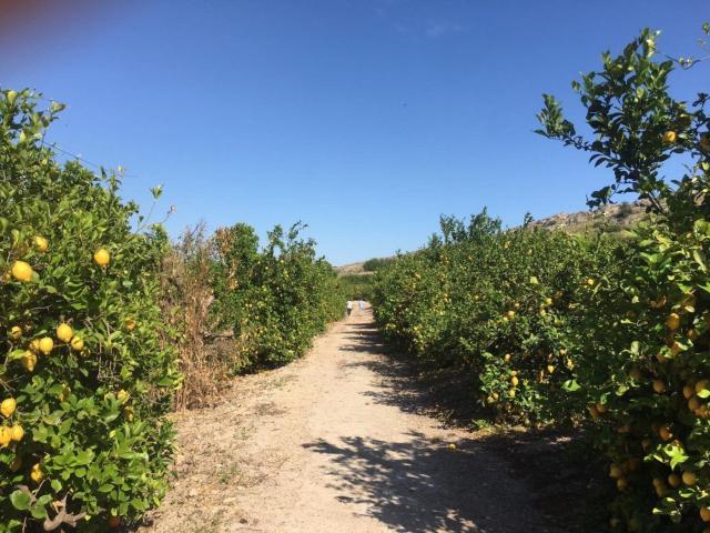 Terreno en venta en Monteagudo, Área Metropolitana de Murcia