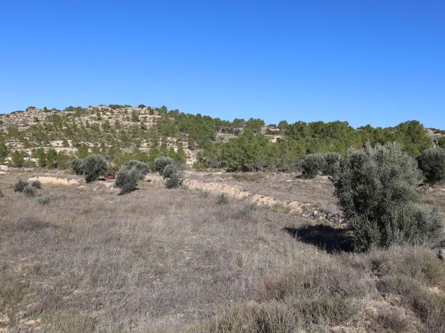 Terreno en venta en Bajo Aragón, Aragón