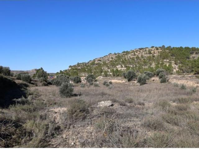 Local Comercial en venta en Bajo Aragón, Aragón