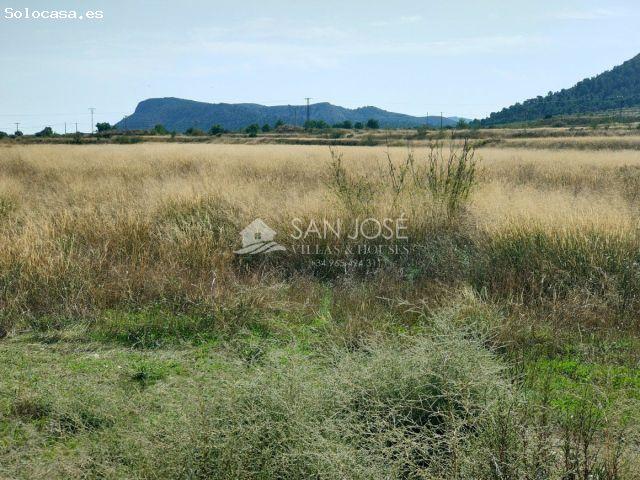 Local Comercial en venta en el Vinalopó Mitjà / El Vinalopó Medio, Valencia