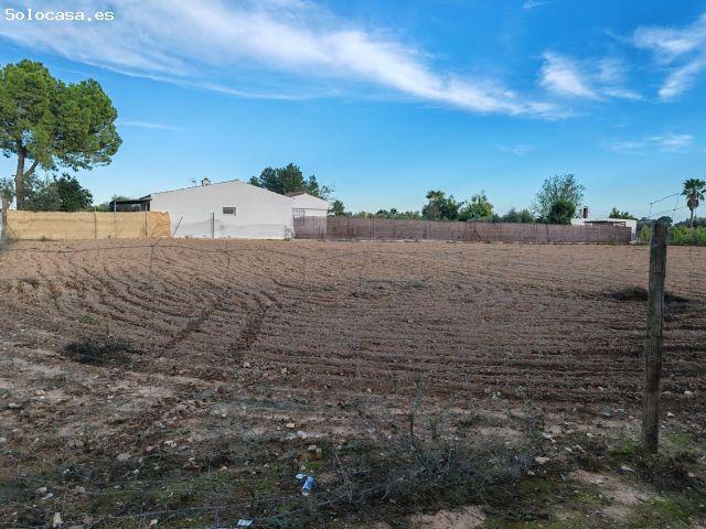 Local Comercial en venta en El Saltillo Nuevo, Utrera
