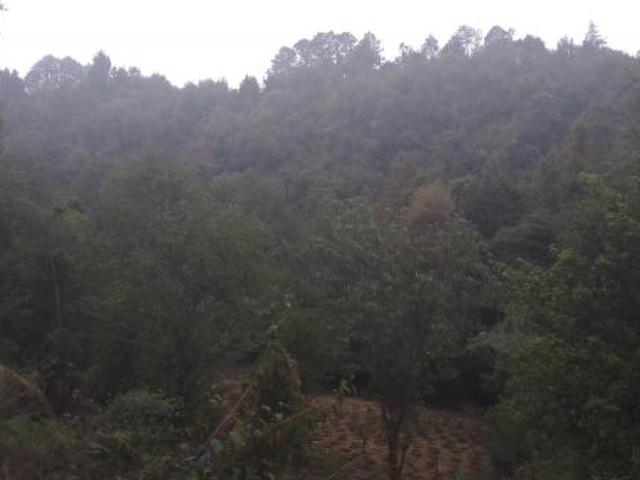 Rancho en venta en Huauchinango, Puebla