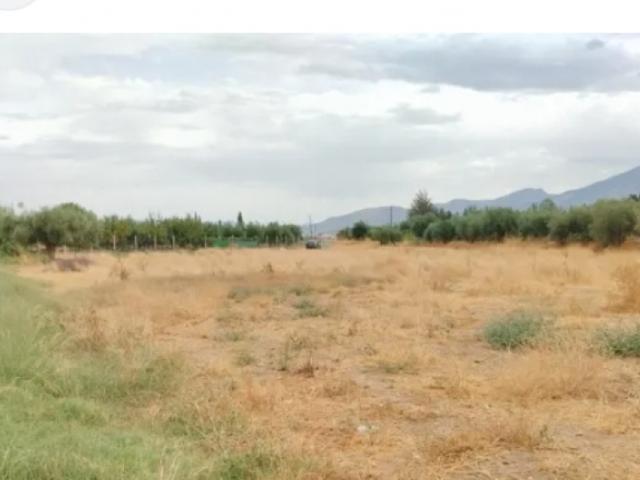Chalet en venta en Villarrobledo, Castilla-La Mancha