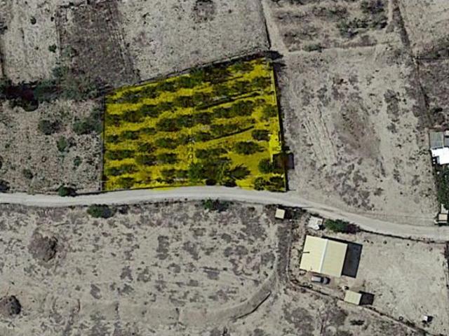 Local Comercial en venta en Campos Del Río