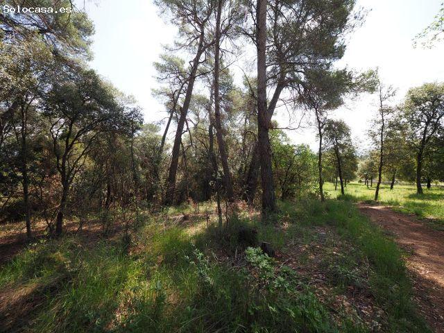 Local Comercial en venta en Cànoves, Vallès Oriental