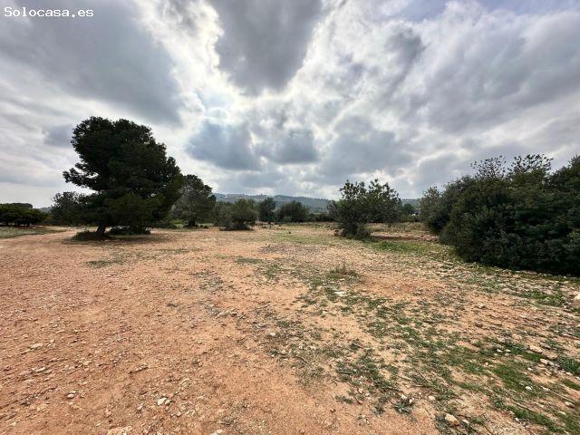 Local Comercial en venta en Aldamar, La Hoya de Buñol