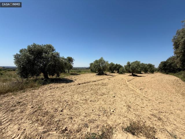 Terreno en venta en Somontano de Barbastro, Aragón