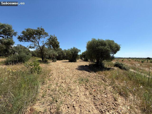 Local Comercial en venta en Somontano de Barbastro, Aragón