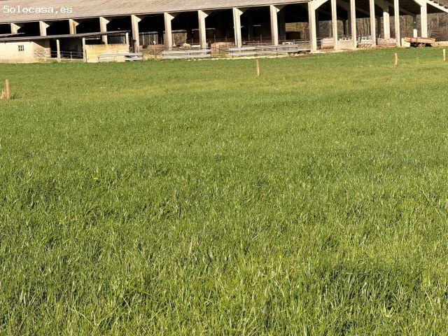Local Comercial en venta en Entrambasaguas, Cantabria