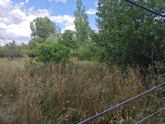 Terreno en venta en Aranda, Aragón