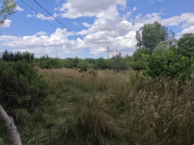 Terreno en venta en Aranda, Aragón