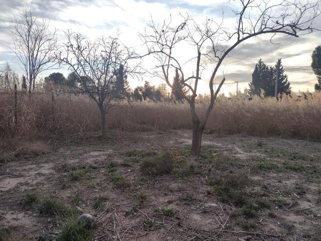 Terreno en venta en Vega Media del Segura, Murcia