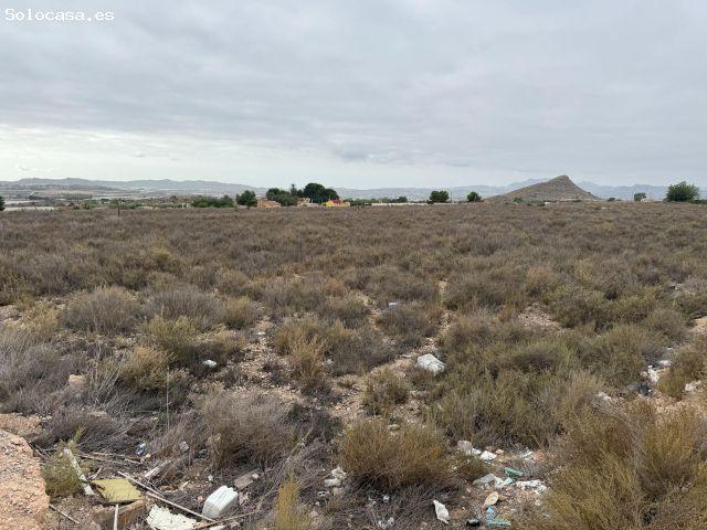Local Comercial en venta en el Vinalopó Mitjà / El Vinalopó Medio, Valencia