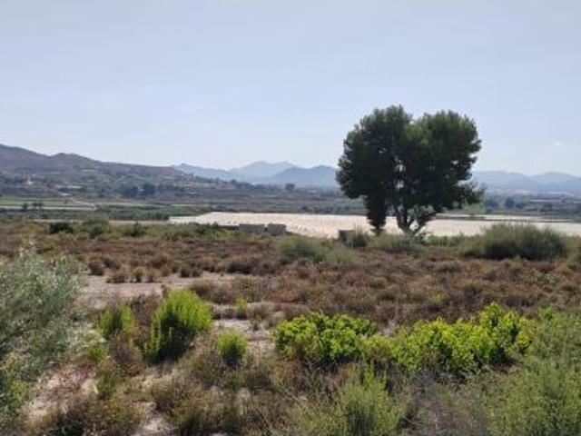 Local Comercial en venta en el Vinalopó Mitjà / El Vinalopó Medio, Valencia