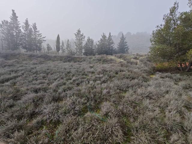 Terreno en venta en Hoya de Huesca / Plana de Uesca, Aragón
