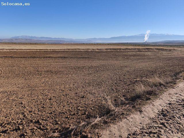 Local Comercial en venta en Bajo Cinca / Baix Cinca, Aragón