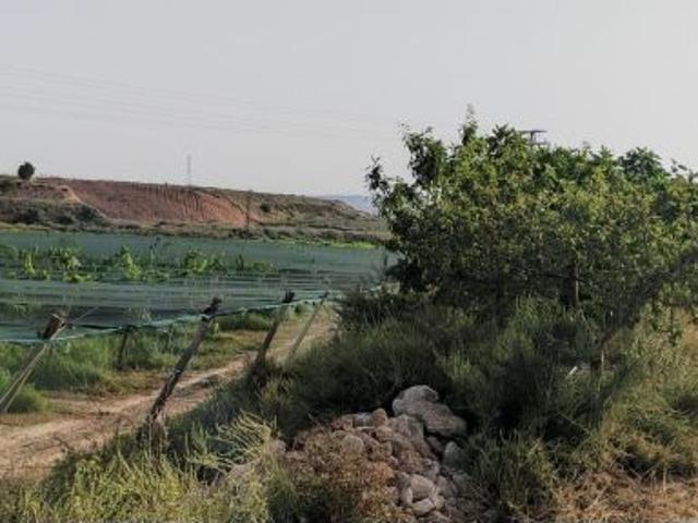 Local Comercial en venta en el Vinalopó Mitjà / El Vinalopó Medio, Valencia