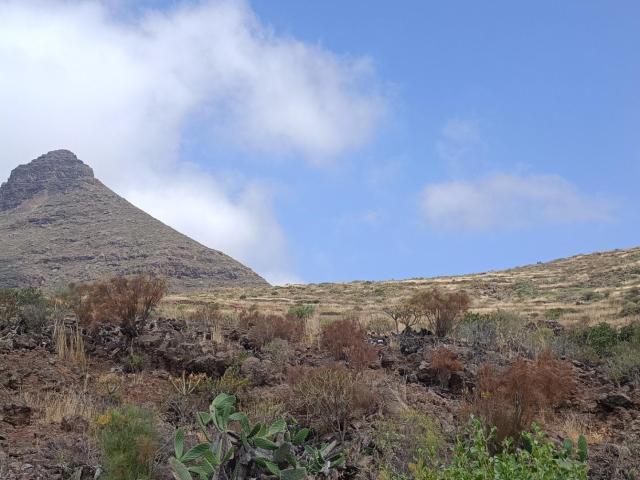 Terreno en venta en Las Casas, Arona