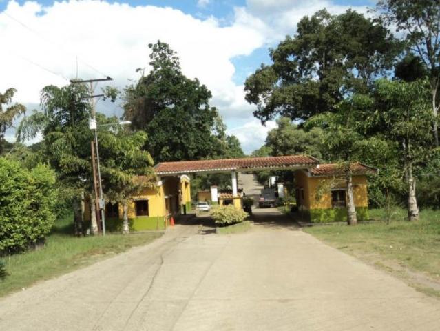 Terreno en venta en Valencia