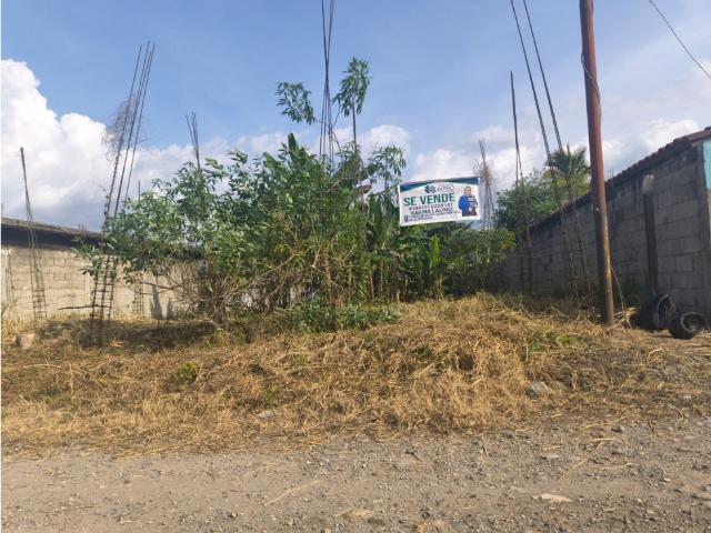 Terreno en venta en Biscucuy, Portuguesa