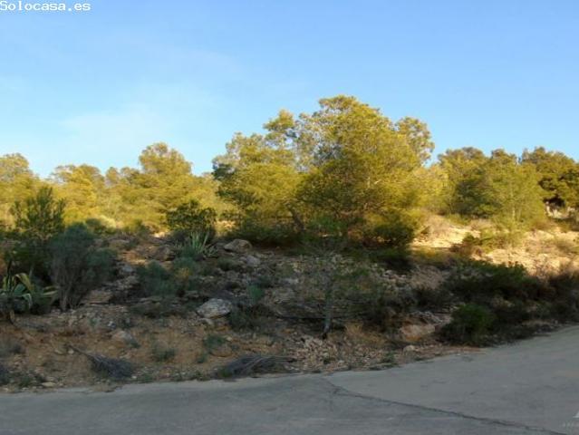 Local Comercial en venta en el Camp de Túria, Valencia