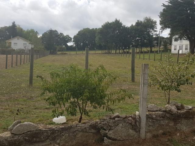Terreno en venta en O Corgo