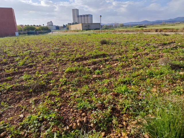 Terreno en venta en Campo de Cariñena, Aragón