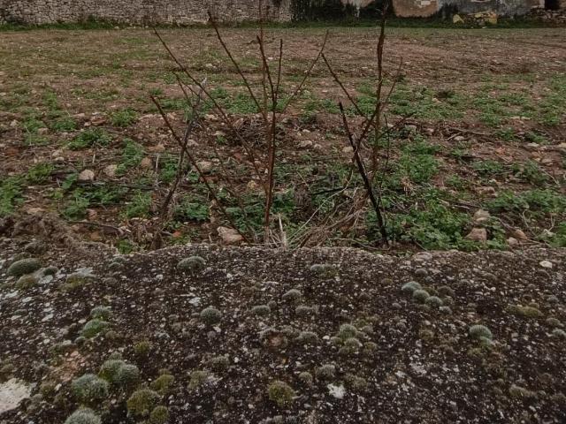 Terreno en venta en Arabako Mendialdea, Guipúzcoa