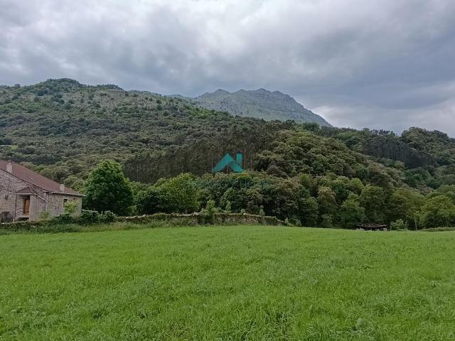 Terreno en venta en Cervera De Pisuerga, Castilla y León