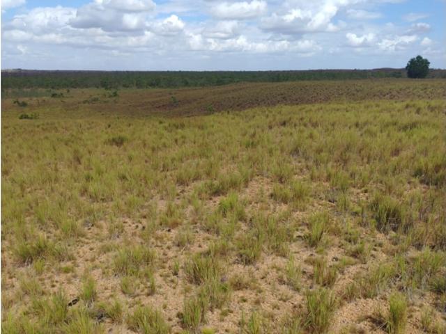Finca en venta en San José De Guanipa, Amazonas