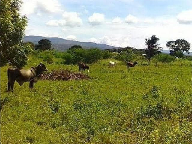 Terreno en venta en Palavecino, Lara
