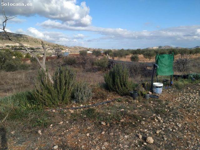 Local Comercial en venta en el Vinalopó Mitjà / El Vinalopó Medio, Valencia