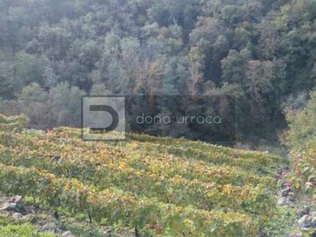 Terreno en venta en Monforte De Lemos, Monforte de Lemos