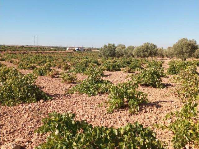 Chalet en venta en Villarrobledo, Castilla-La Mancha
