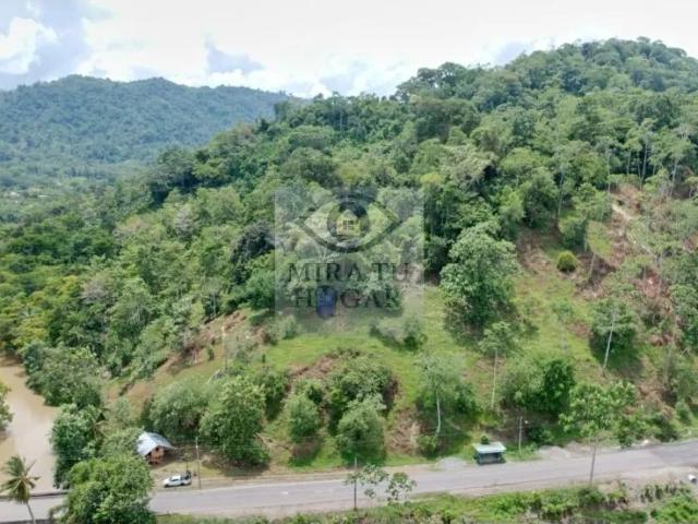 Terreno venta en Isla Colón, Bocas del Toro