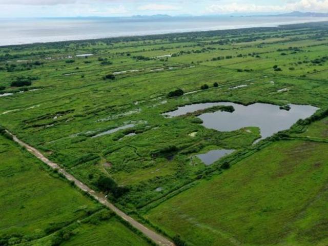 Se Venden 2 Fincas Agrícolas en Pacora. 74 Hectáreas